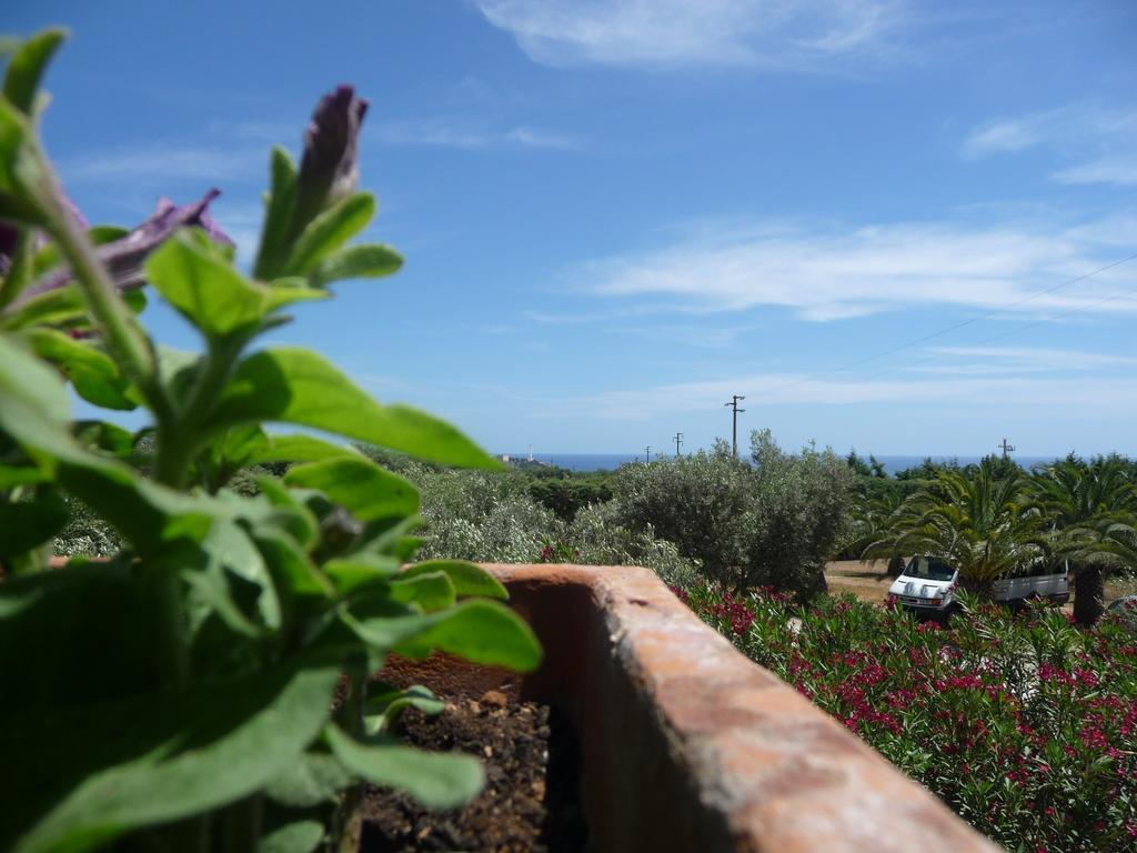 Masseria Serine Santa Maria di Leuca Eksteriør bilde