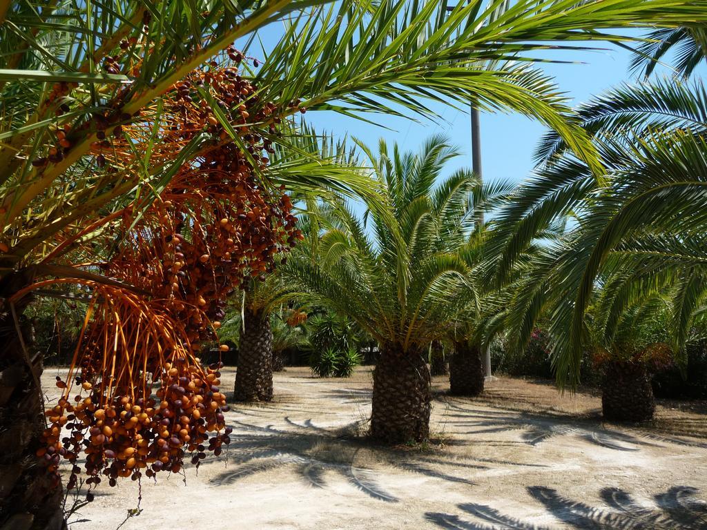 Masseria Serine Santa Maria di Leuca Eksteriør bilde